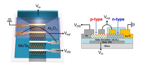 Commercializing Next-Generation 2D Semiconductors in Practice