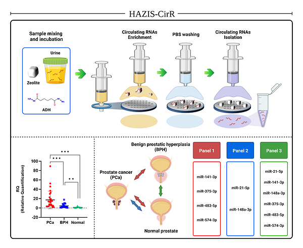 Prostate Cancer Diagnostic Technology using Circulating RNA from Urine