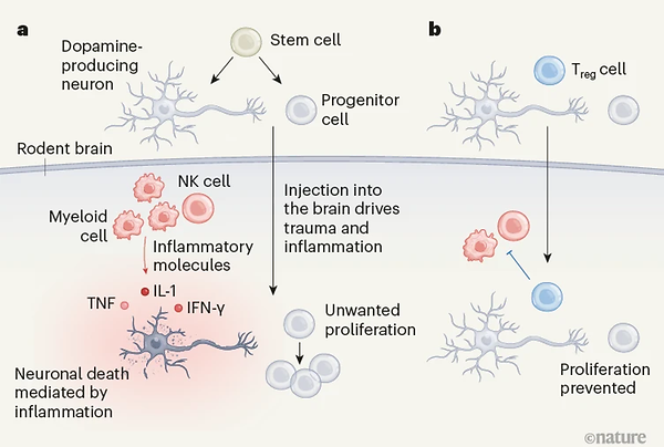 New Frontiers in Treatment of Immune Disorders unveiled